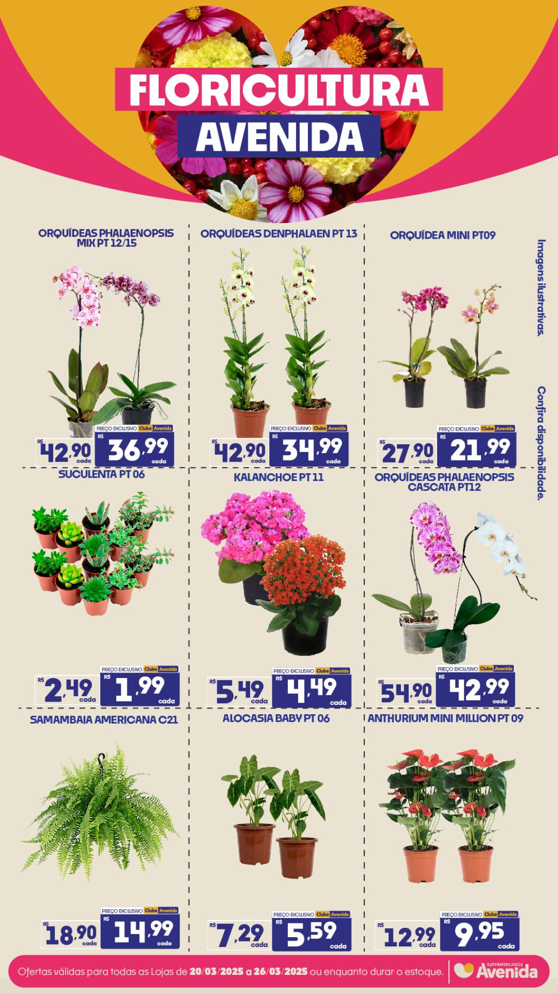 Supermercados Avenida - Ofertas