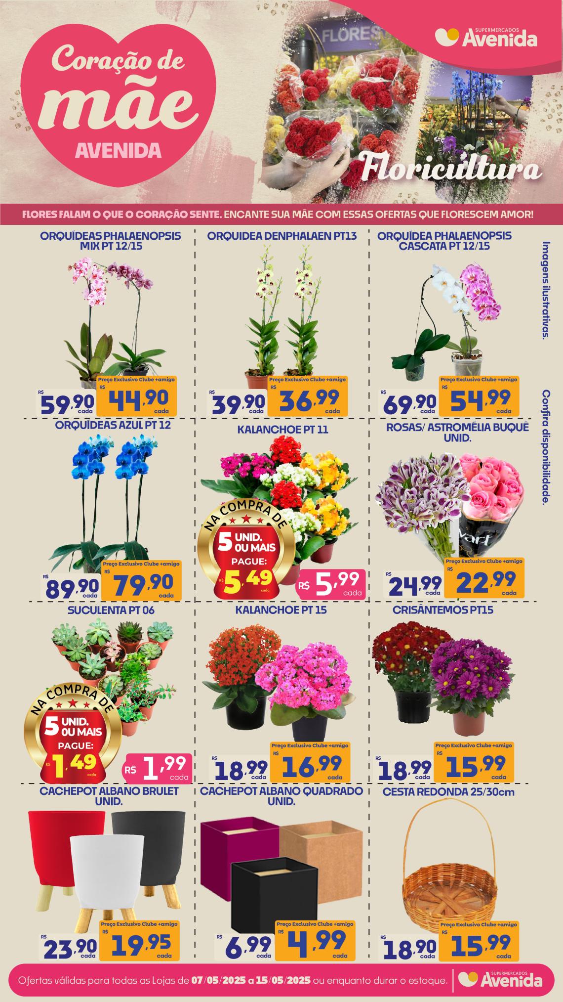 Supermercados Avenida - Ofertas
