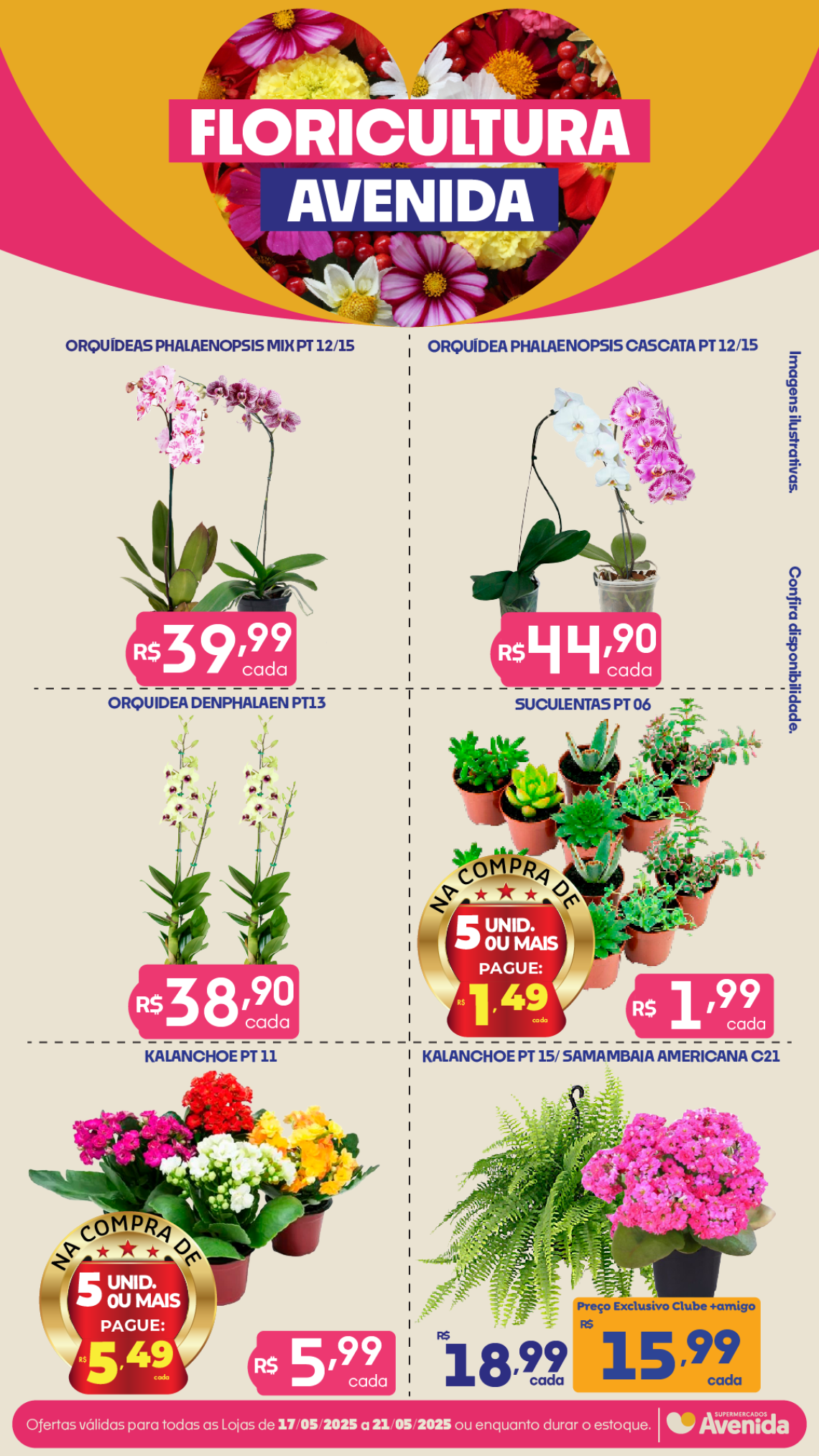 Supermercados Avenida - Ofertas