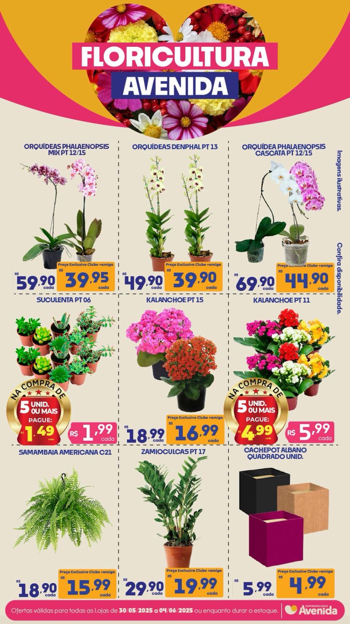 Supermercados Avenida - Ofertas