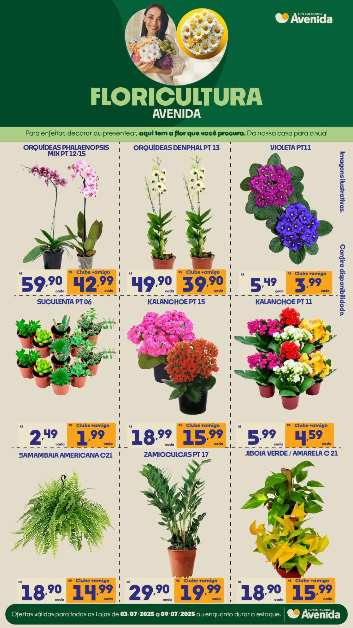 Supermercados Avenida - Ofertas