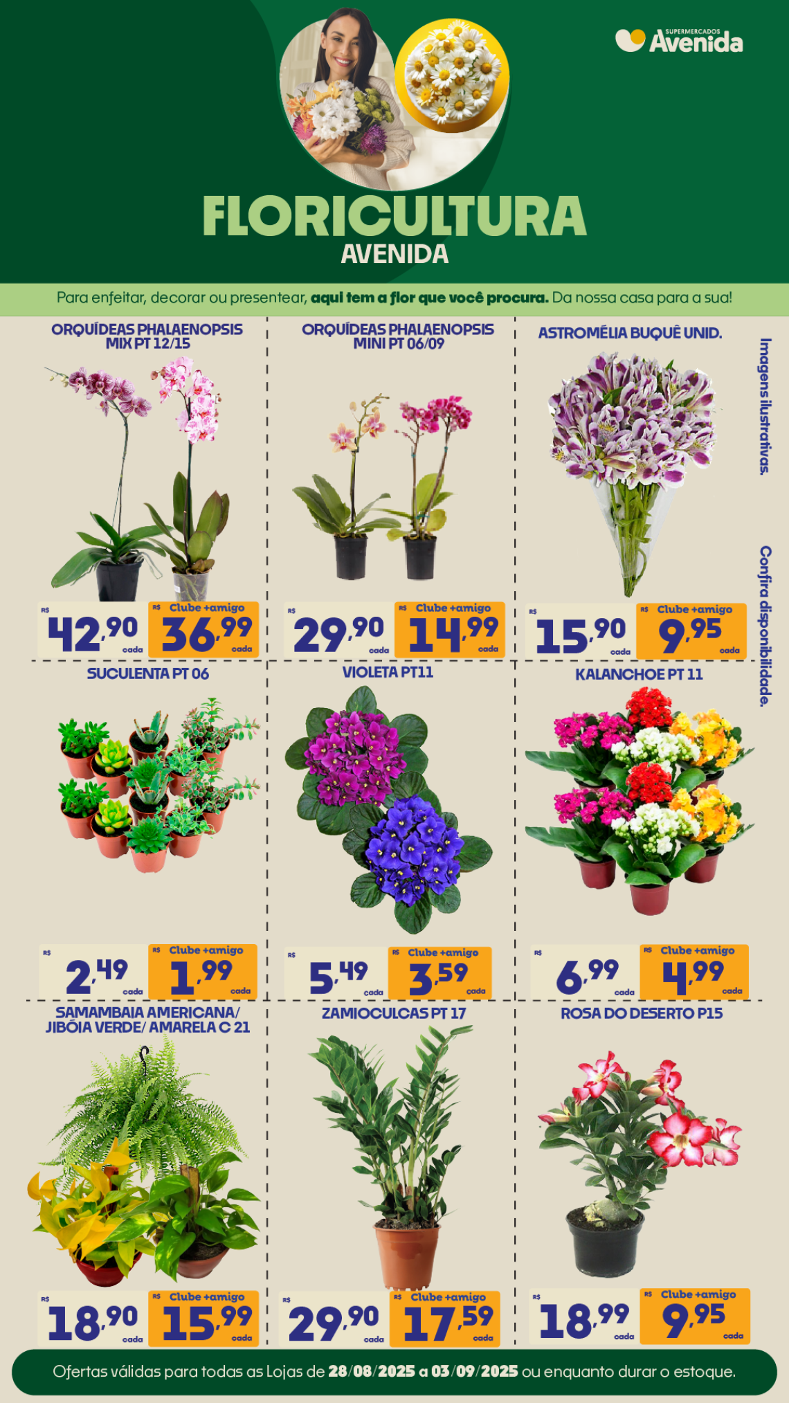 Supermercados Avenida - Ofertas