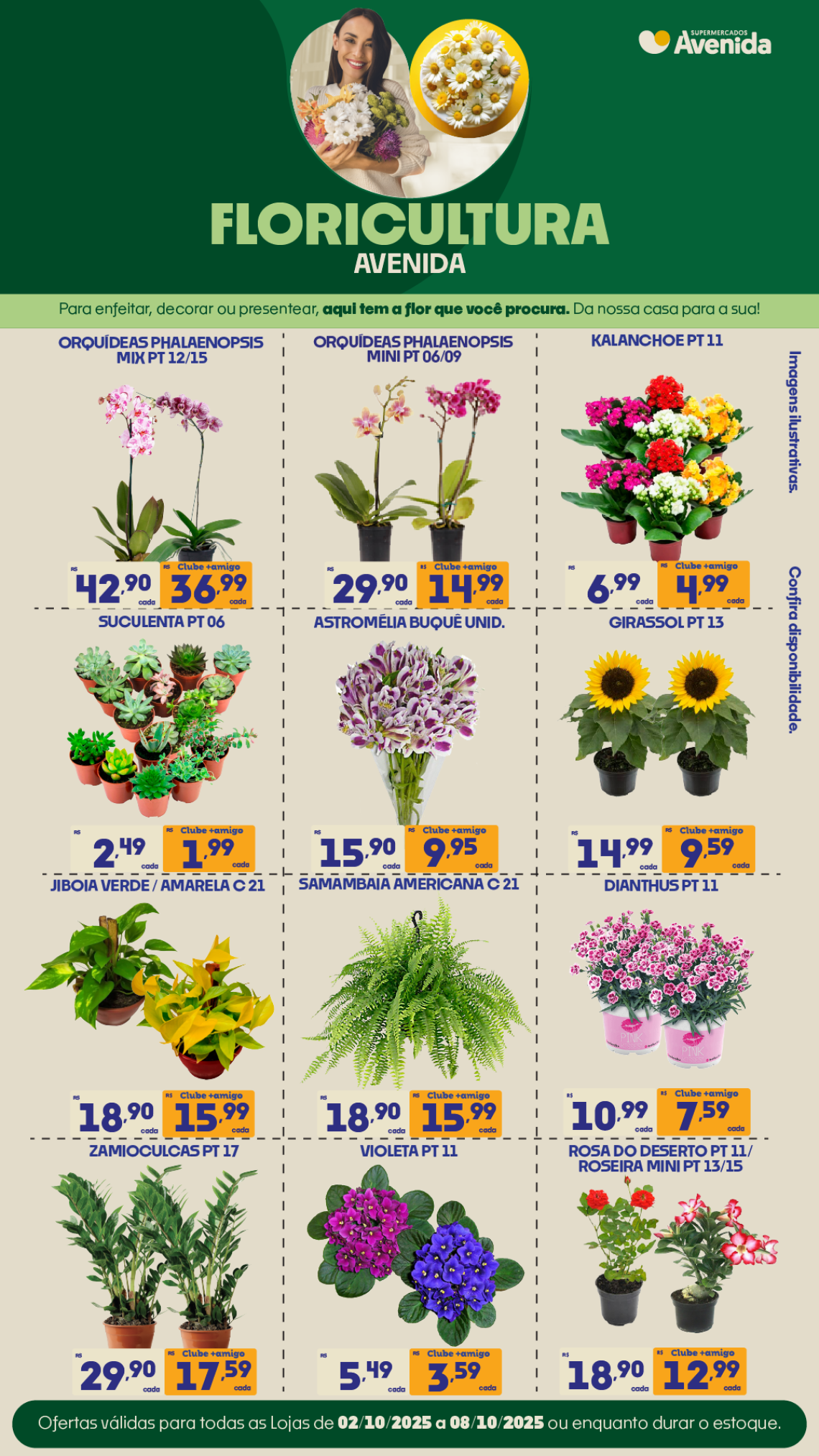 Supermercados Avenida - Ofertas