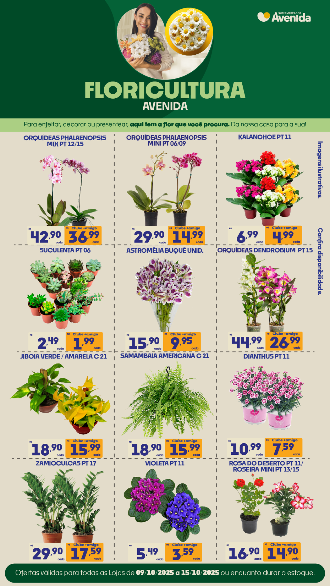Supermercados Avenida - Ofertas