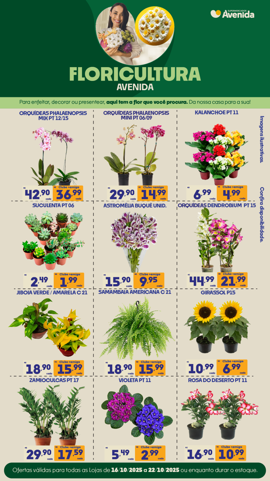 Supermercados Avenida - Ofertas