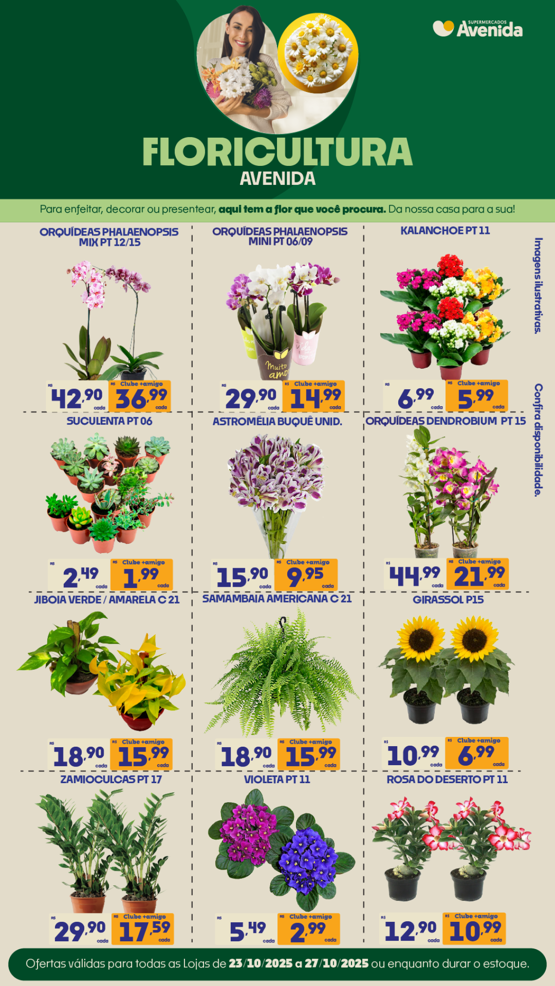 Supermercados Avenida - Ofertas
