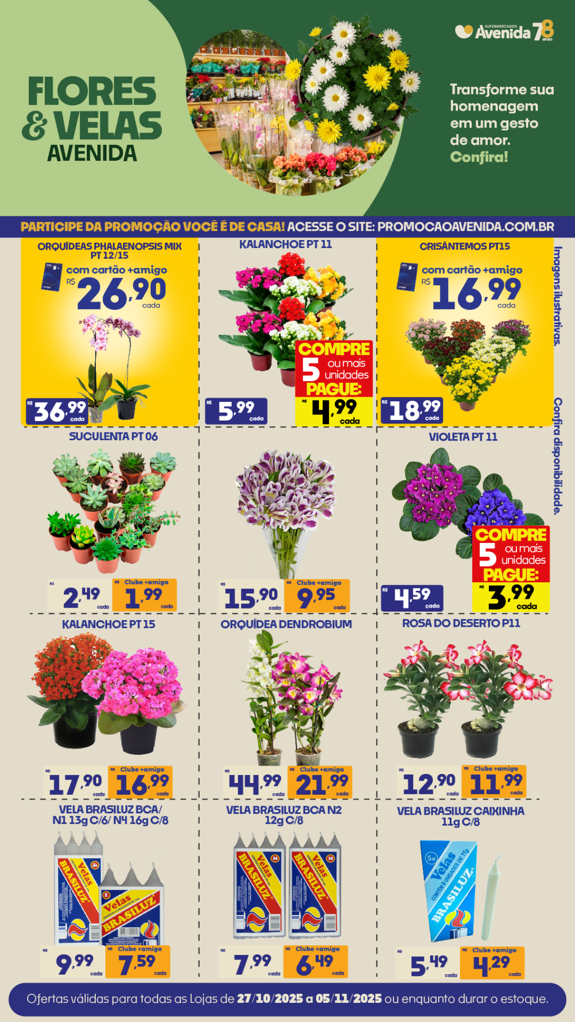 Supermercados Avenida - Ofertas