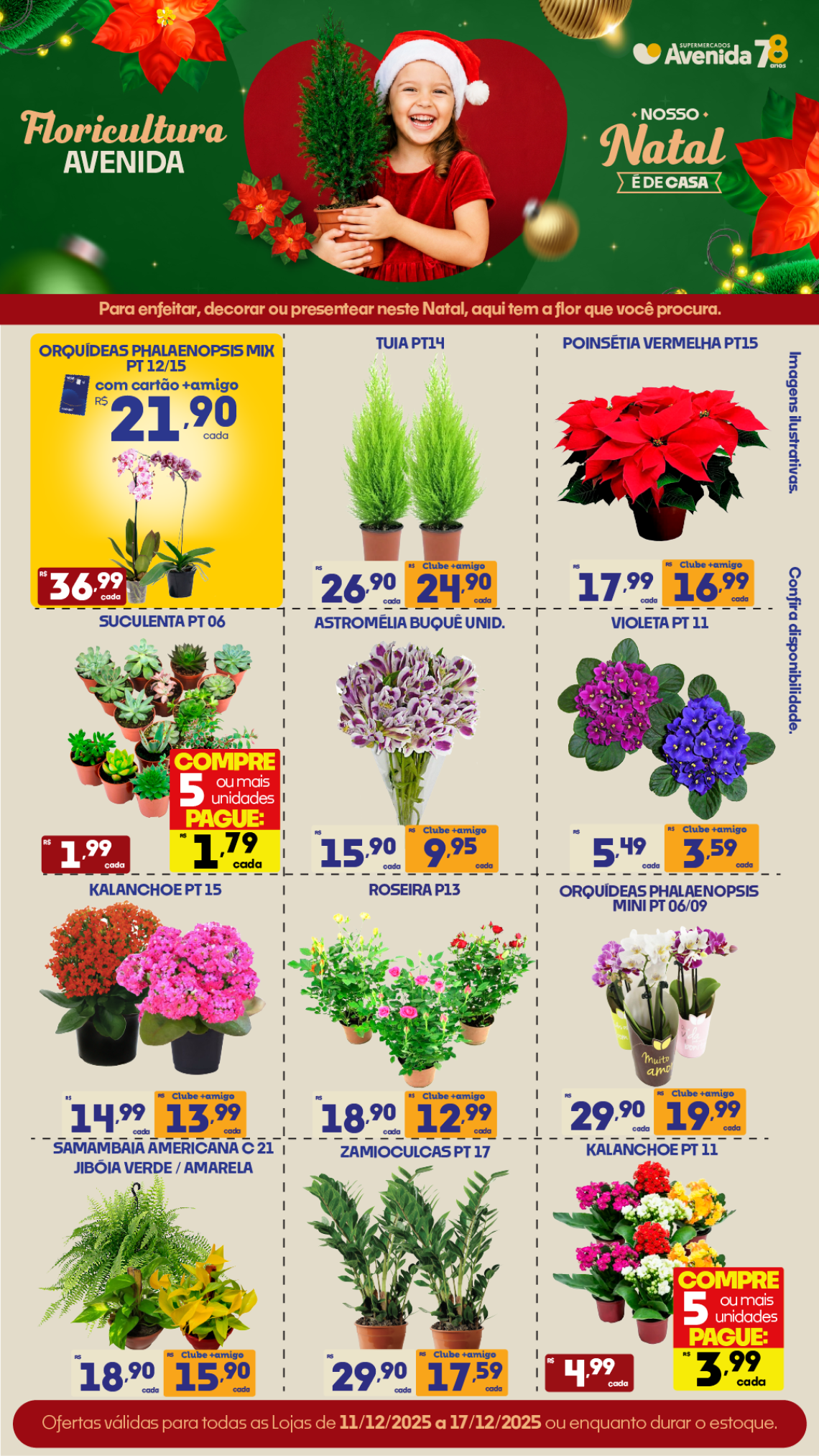 Supermercados Avenida - Ofertas