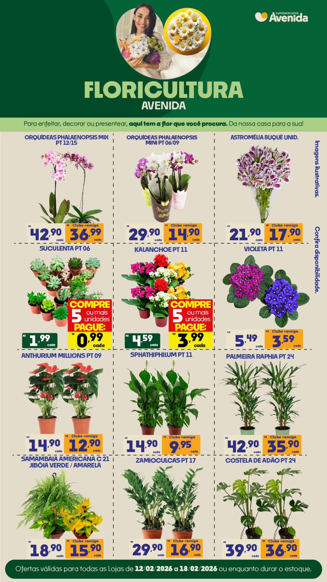 Supermercados Avenida - Ofertas