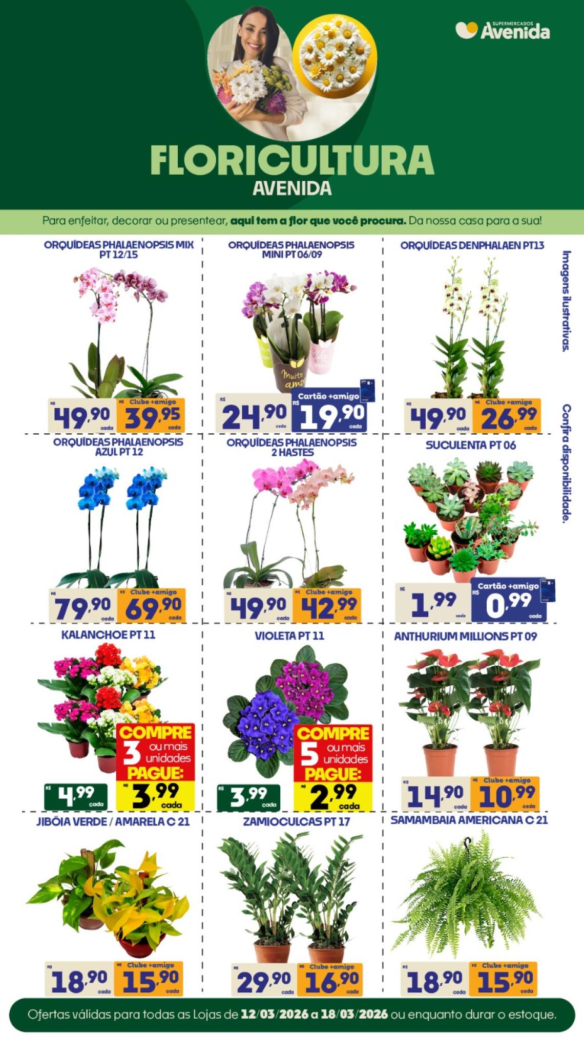 Supermercados Avenida - Ofertas