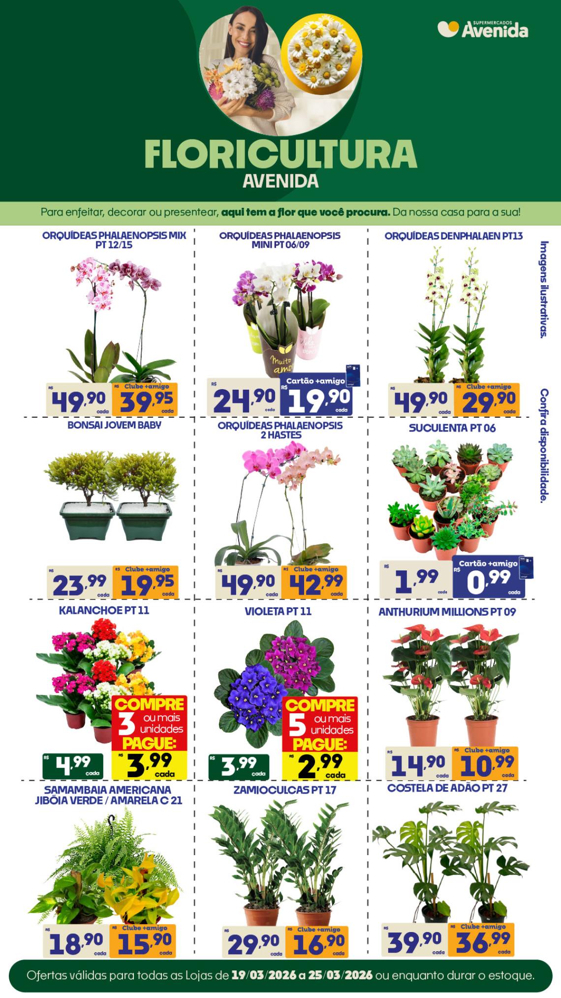 Supermercados Avenida - Ofertas