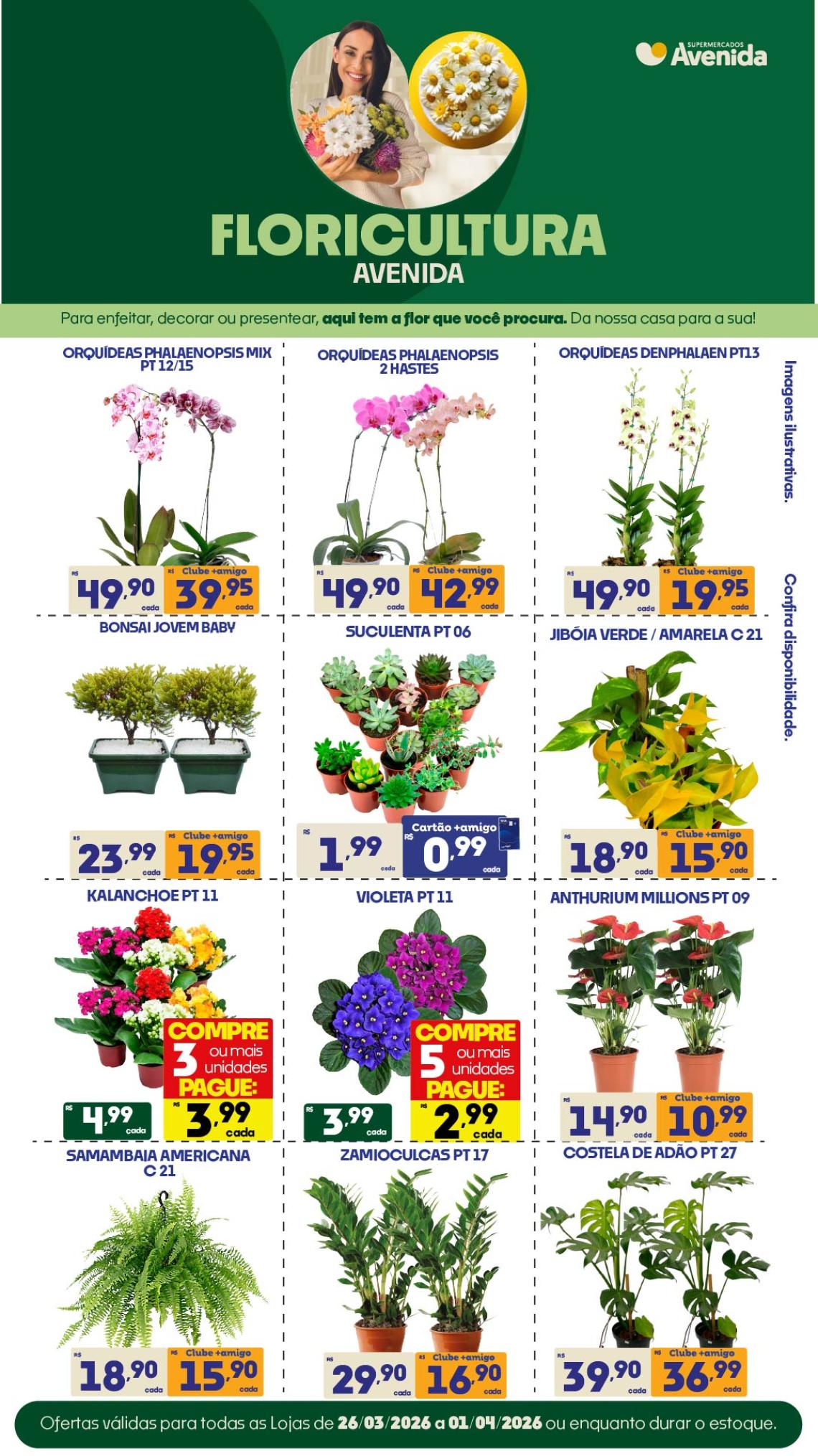 Supermercados Avenida - Ofertas