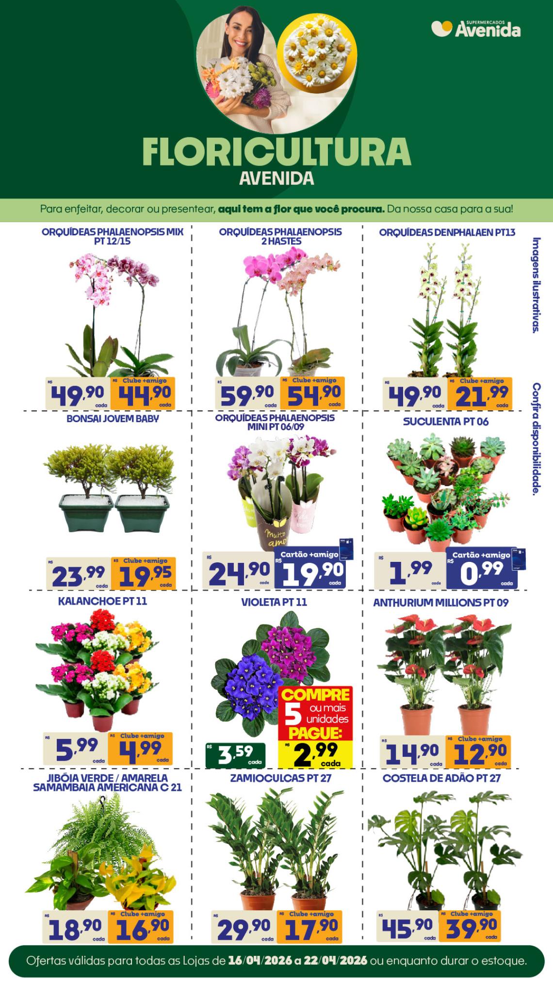 Supermercados Avenida - Ofertas