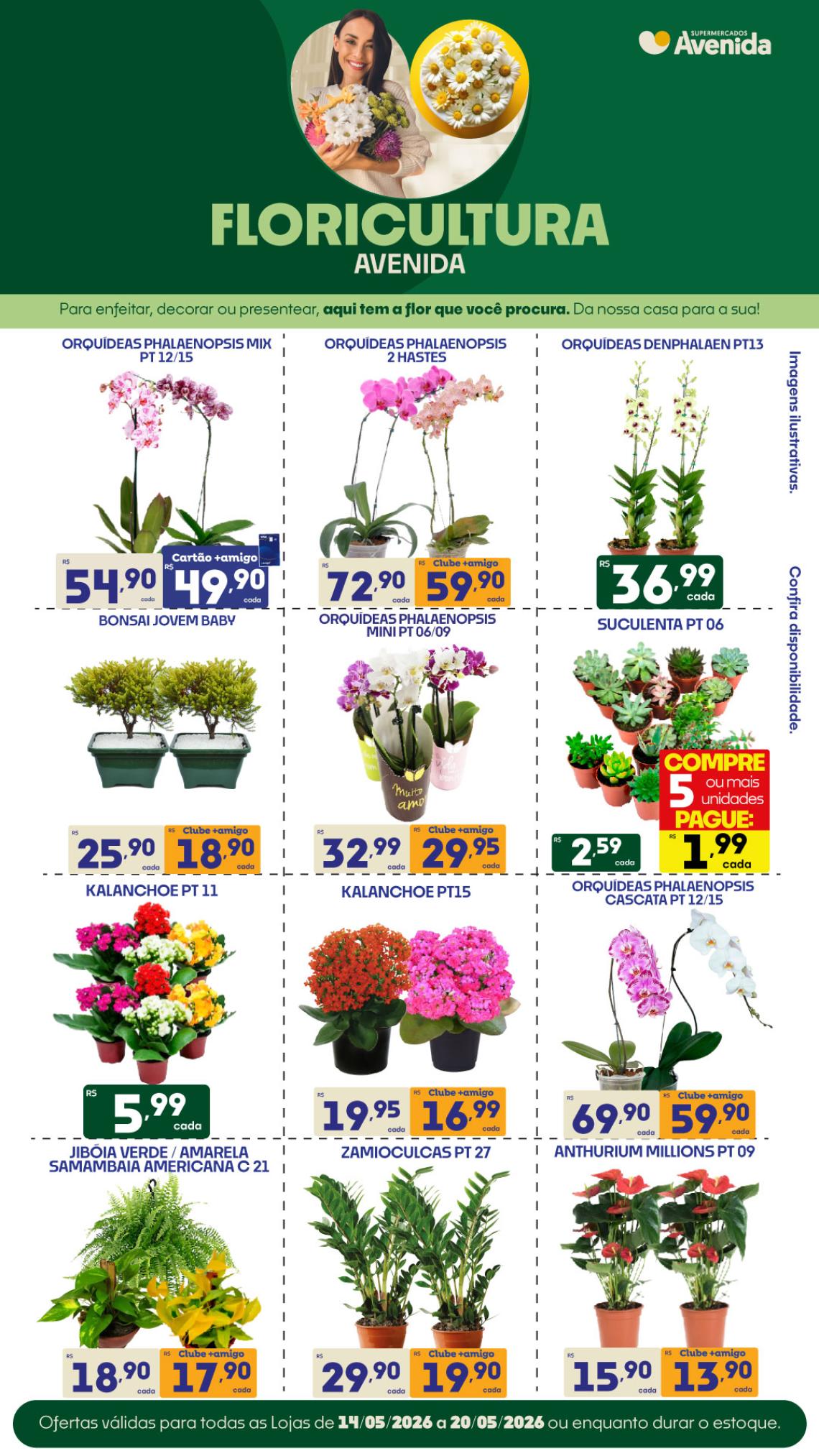 Supermercados Avenida - Ofertas