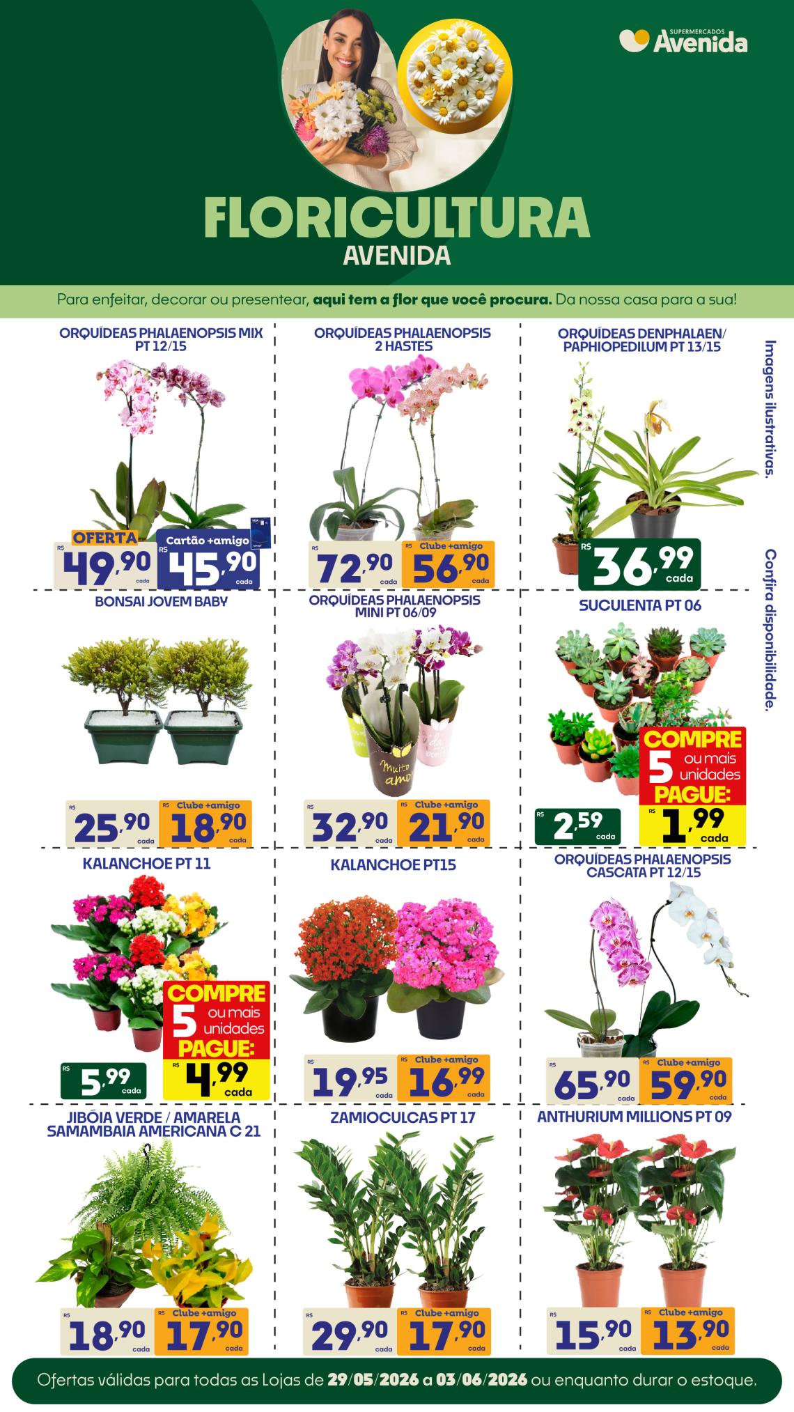 Supermercados Avenida - Ofertas