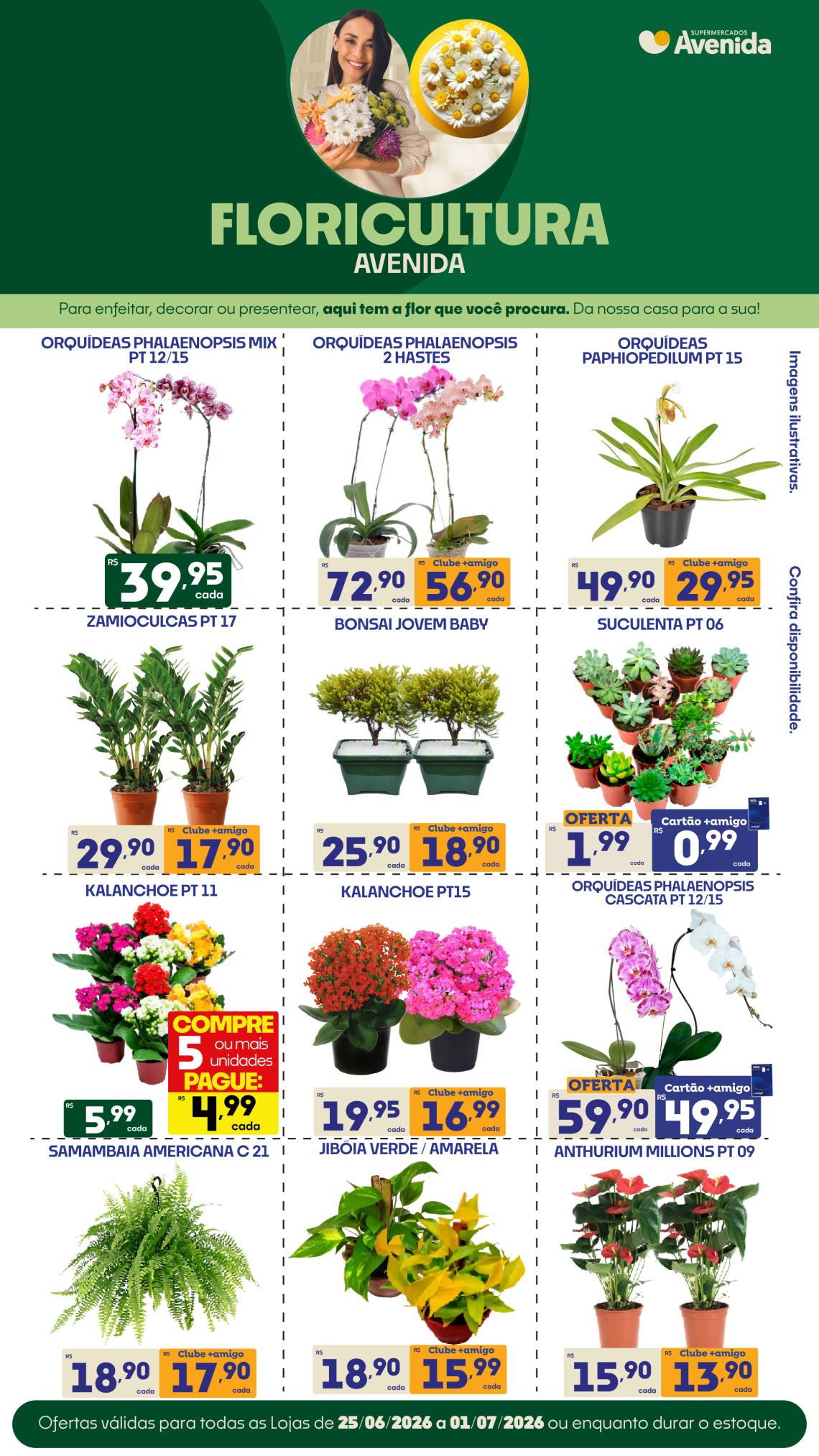 Supermercados Avenida - Ofertas