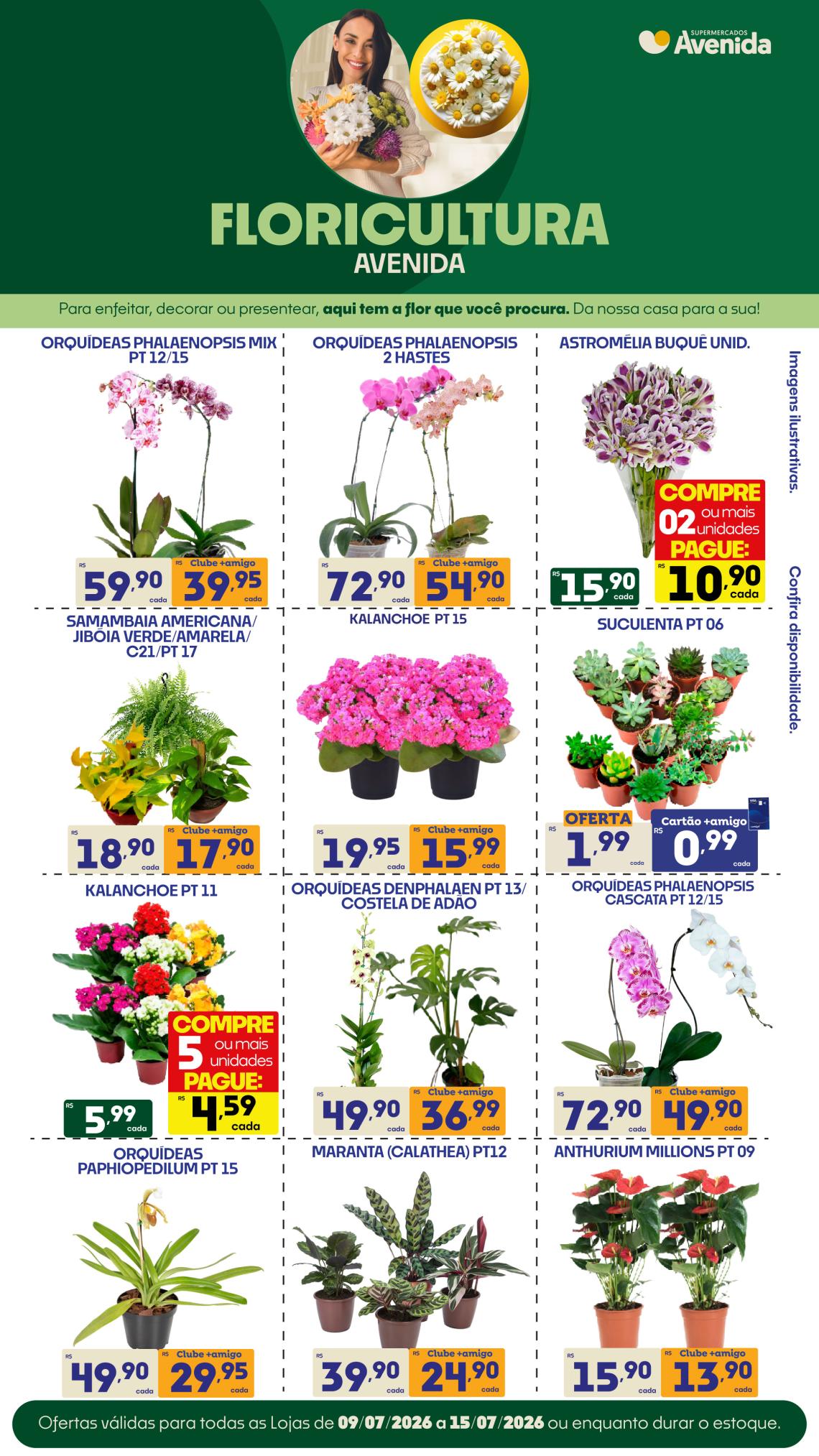 Supermercados Avenida - Ofertas