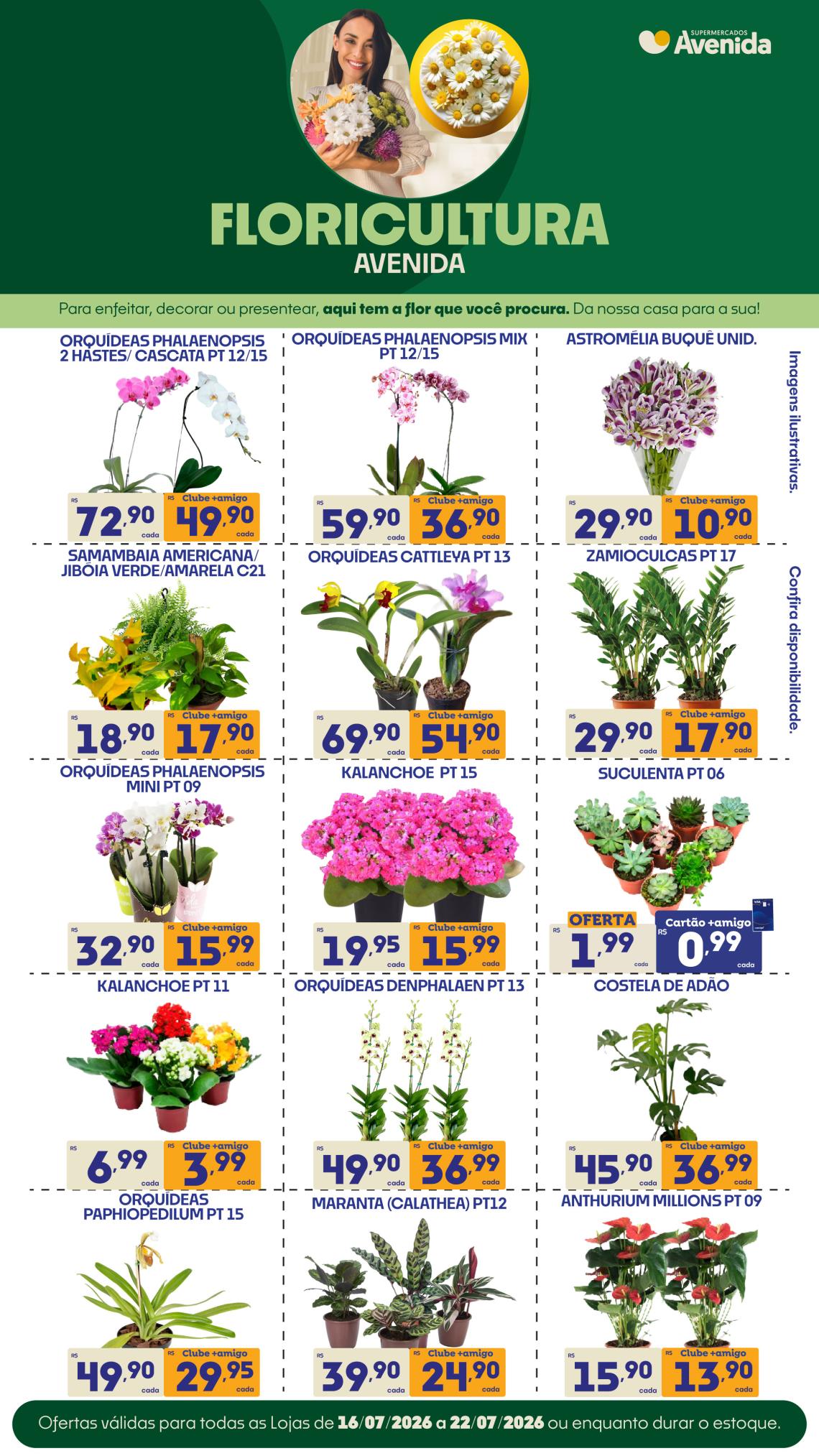 Supermercados Avenida - Ofertas