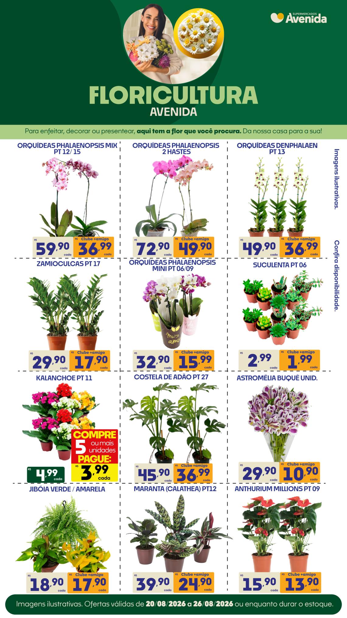 Supermercados Avenida - Ofertas