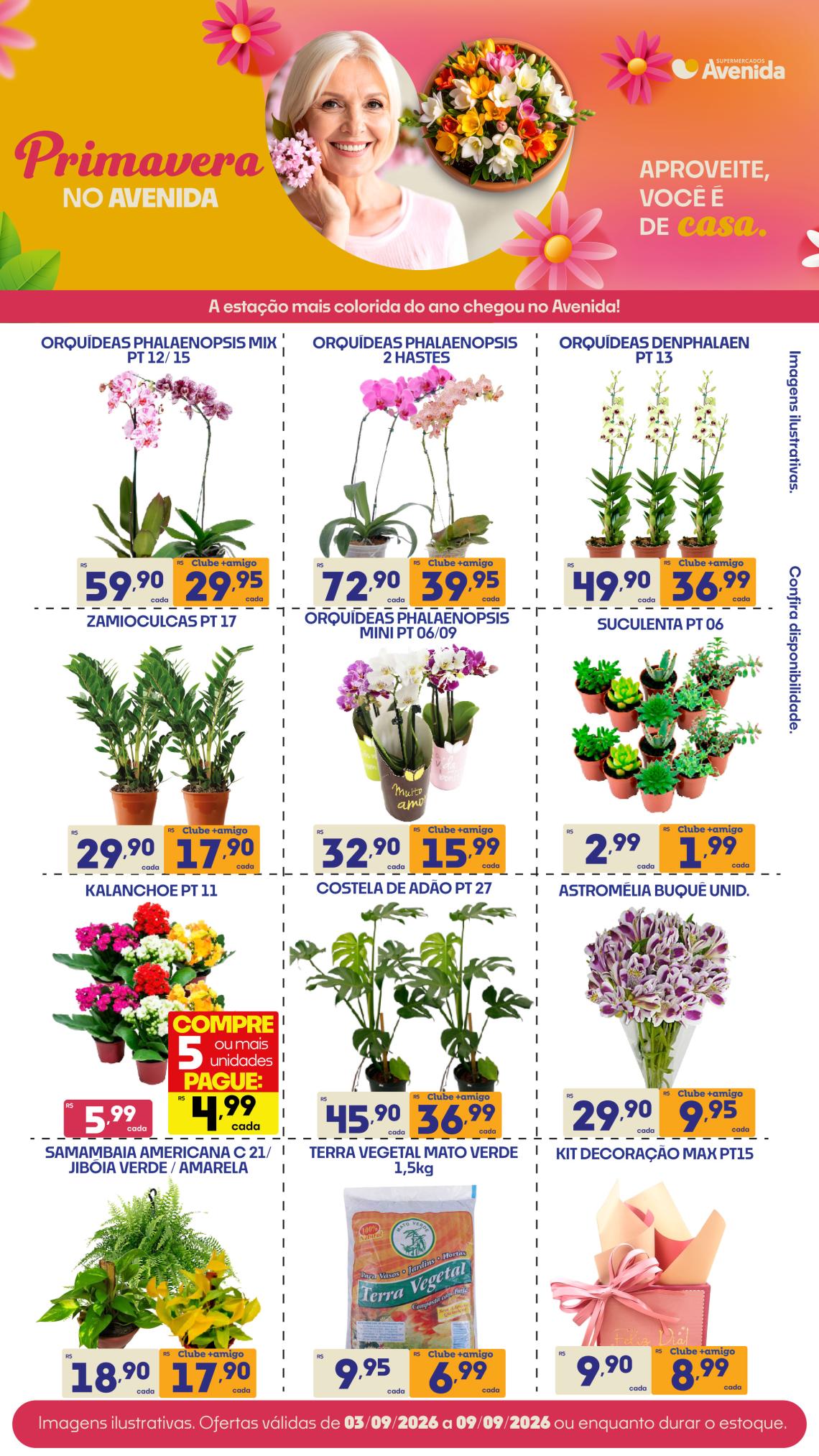 Supermercados Avenida - Ofertas