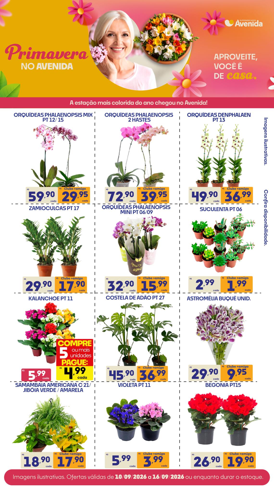Supermercados Avenida - Ofertas