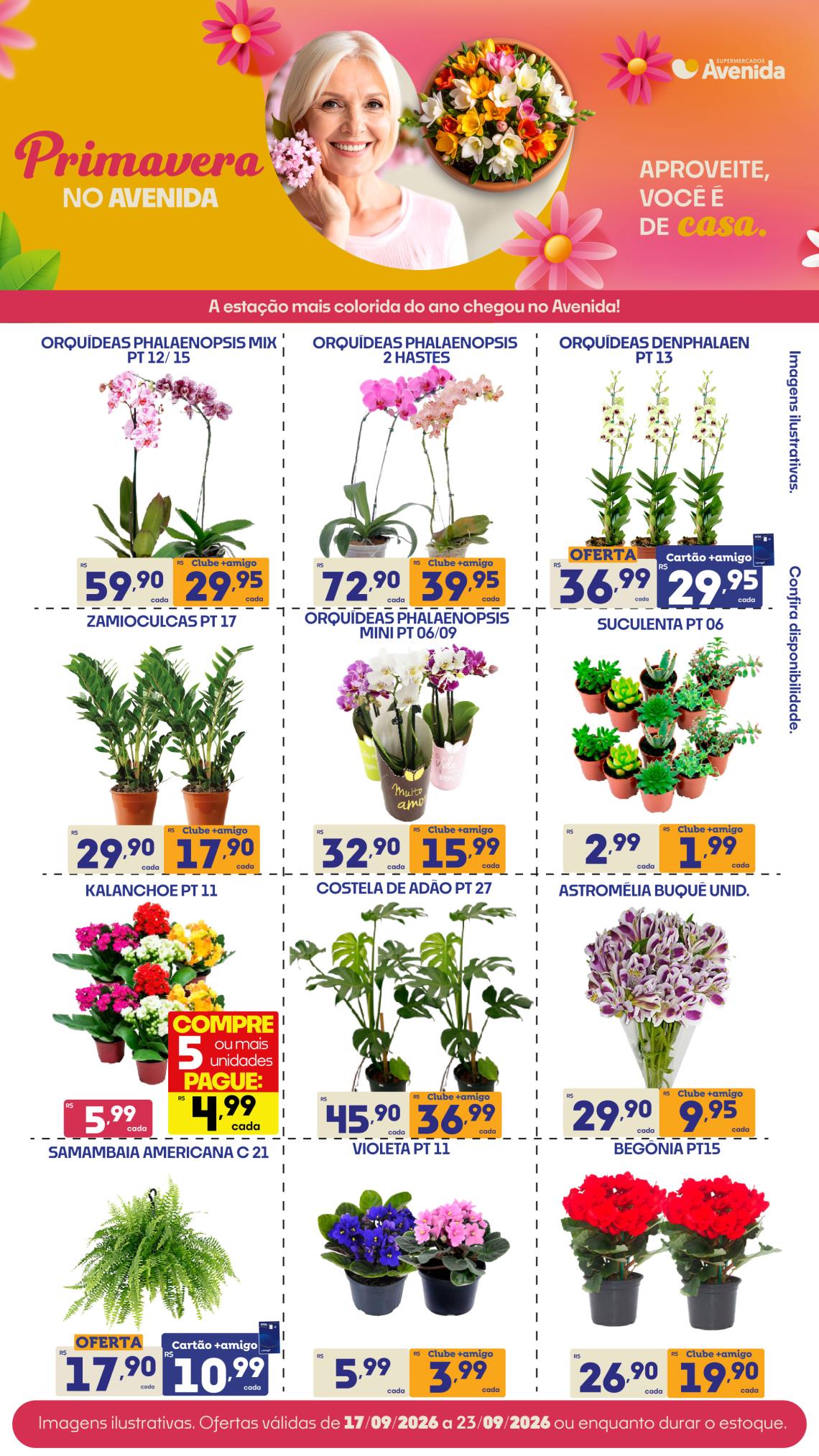 Supermercados Avenida - Ofertas