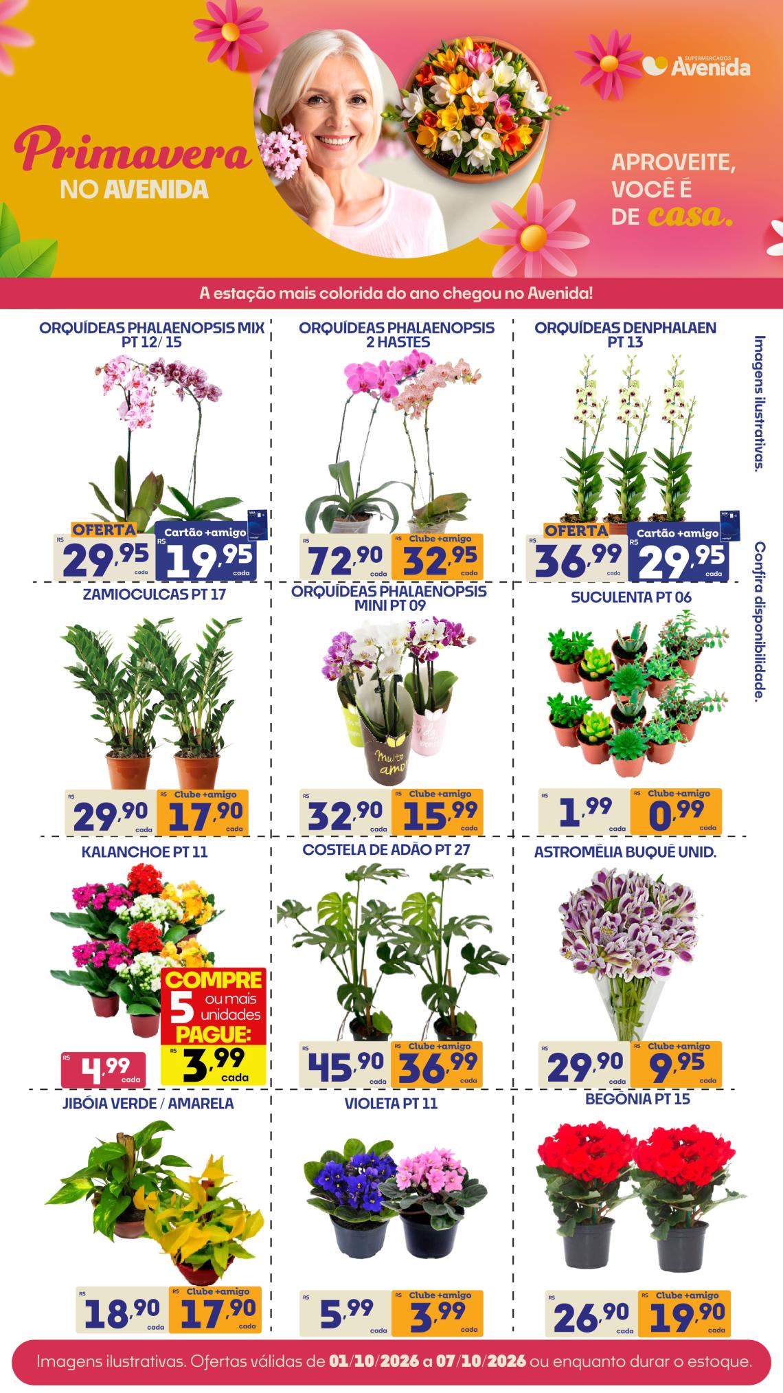 Supermercados Avenida - Ofertas