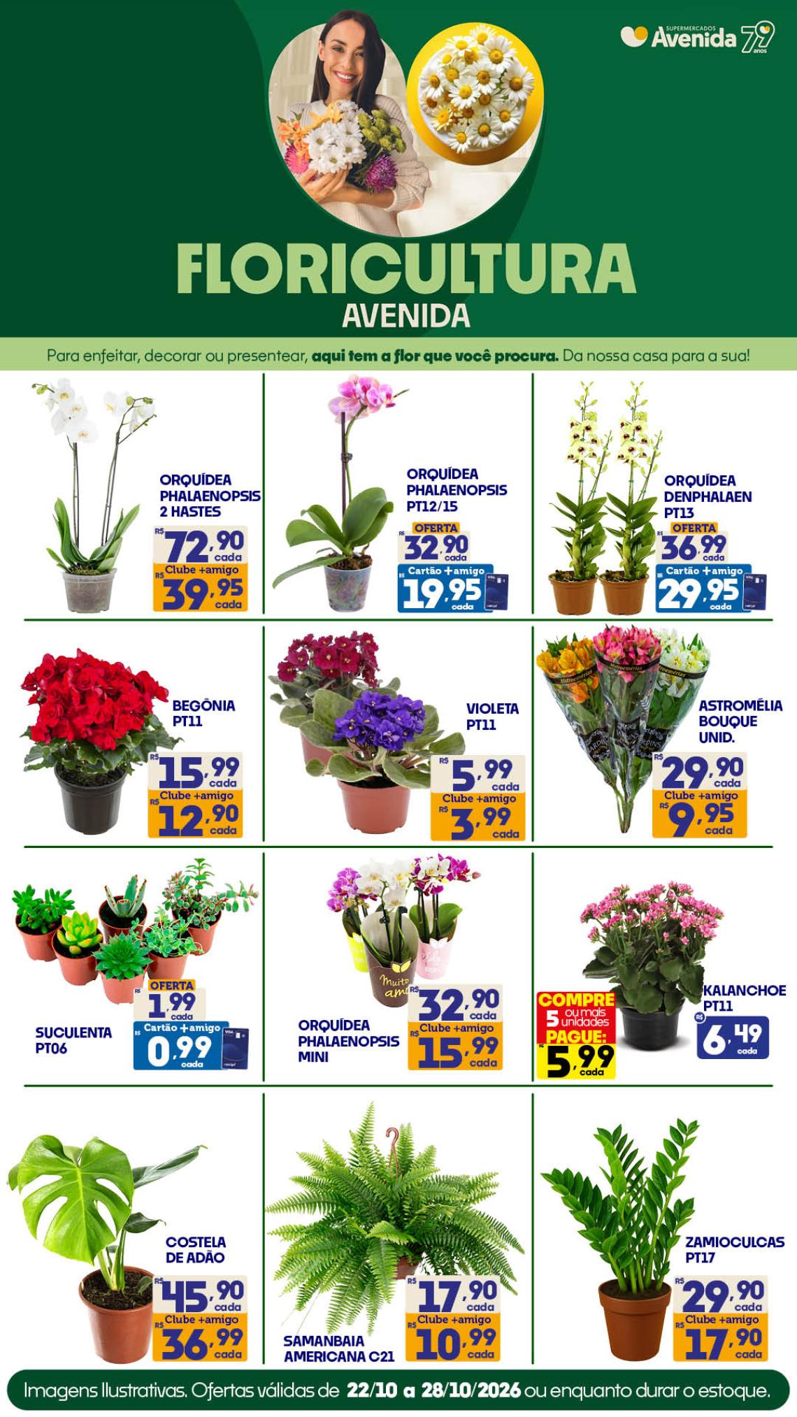 Supermercados Avenida - Ofertas